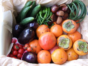 Best Edible Plants to Grow in Autumn