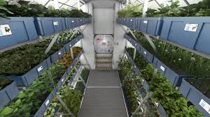 Herb Gardens in Orange County