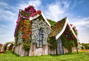 Gardening Services in Orange County